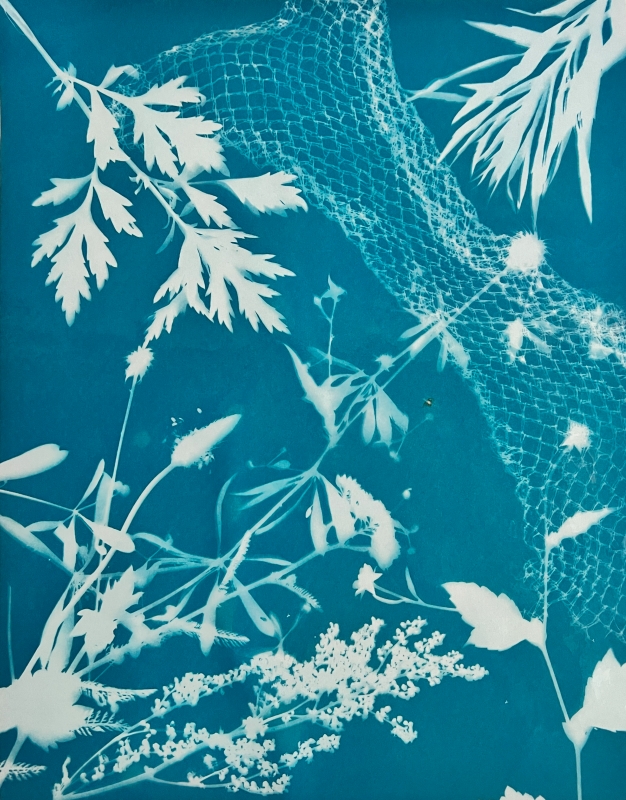 Cyanotype by School of Form students, featuring imprints of various plants and a piece of mesh, rendered in the characteristic blue tones of this technique.
