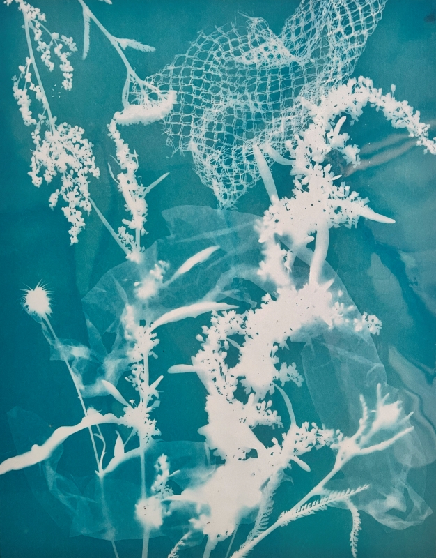 Cyanotype by School of Form students, featuring imprints of various plants and a piece of mesh, rendered in the characteristic blue tones of this technique.