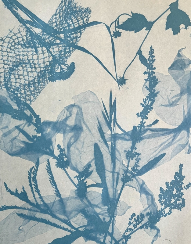 Cyanotype by School of Form students, featuring imprints of various plants and a piece of mesh, rendered in the characteristic blue tones of this technique.