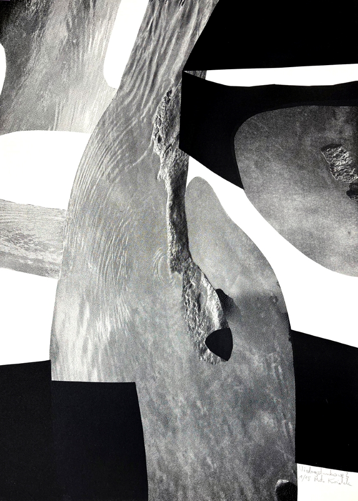 Fragment pracy Marty Kwiatek