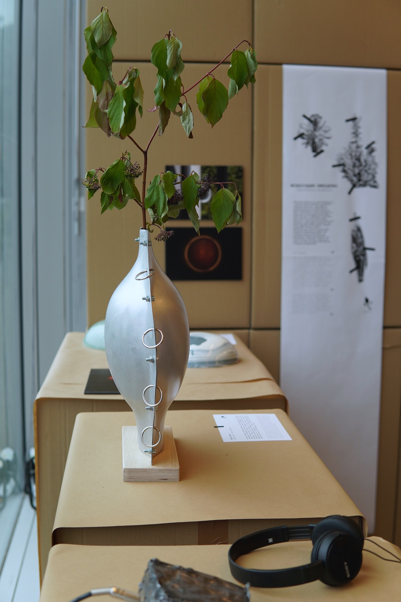 Interior of the exhibition “Synanthropic plants. What do weeds teach us?” | Photo School of Form