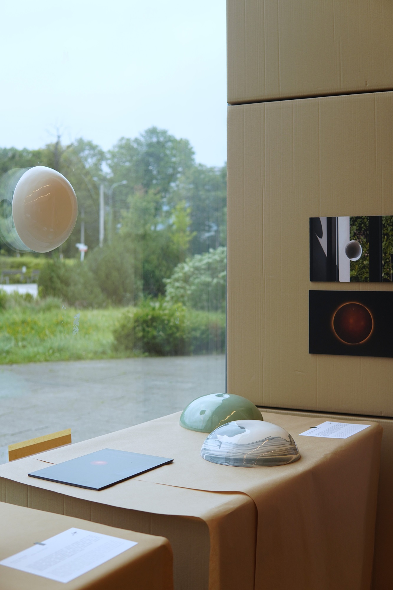 Interior of the exhibition “Synanthropic plants. What do weeds teach us?” | Photo School of Form