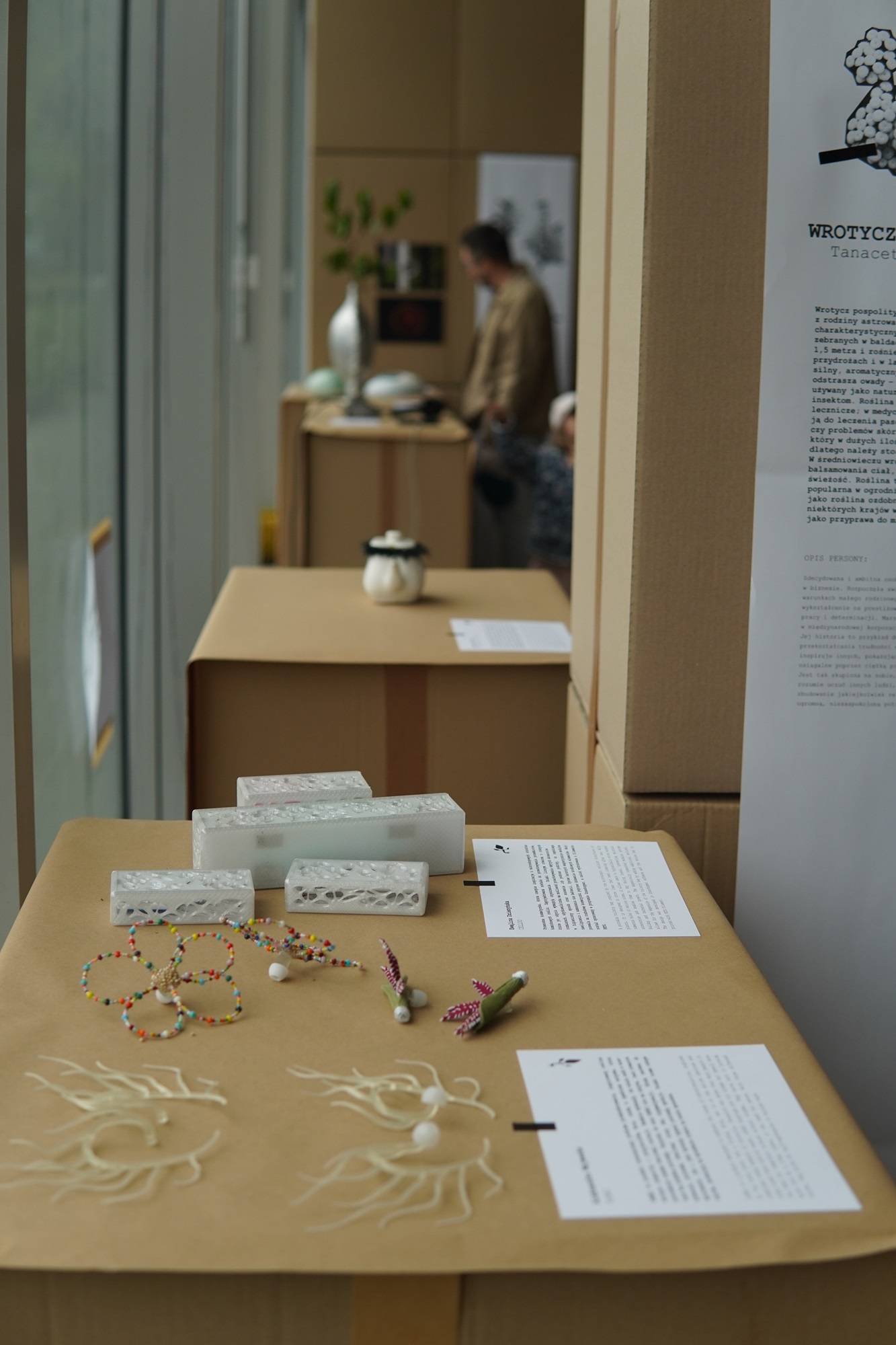 Interior of the exhibition “Synanthropic plants. What do weeds teach us?” | Photo School of Form