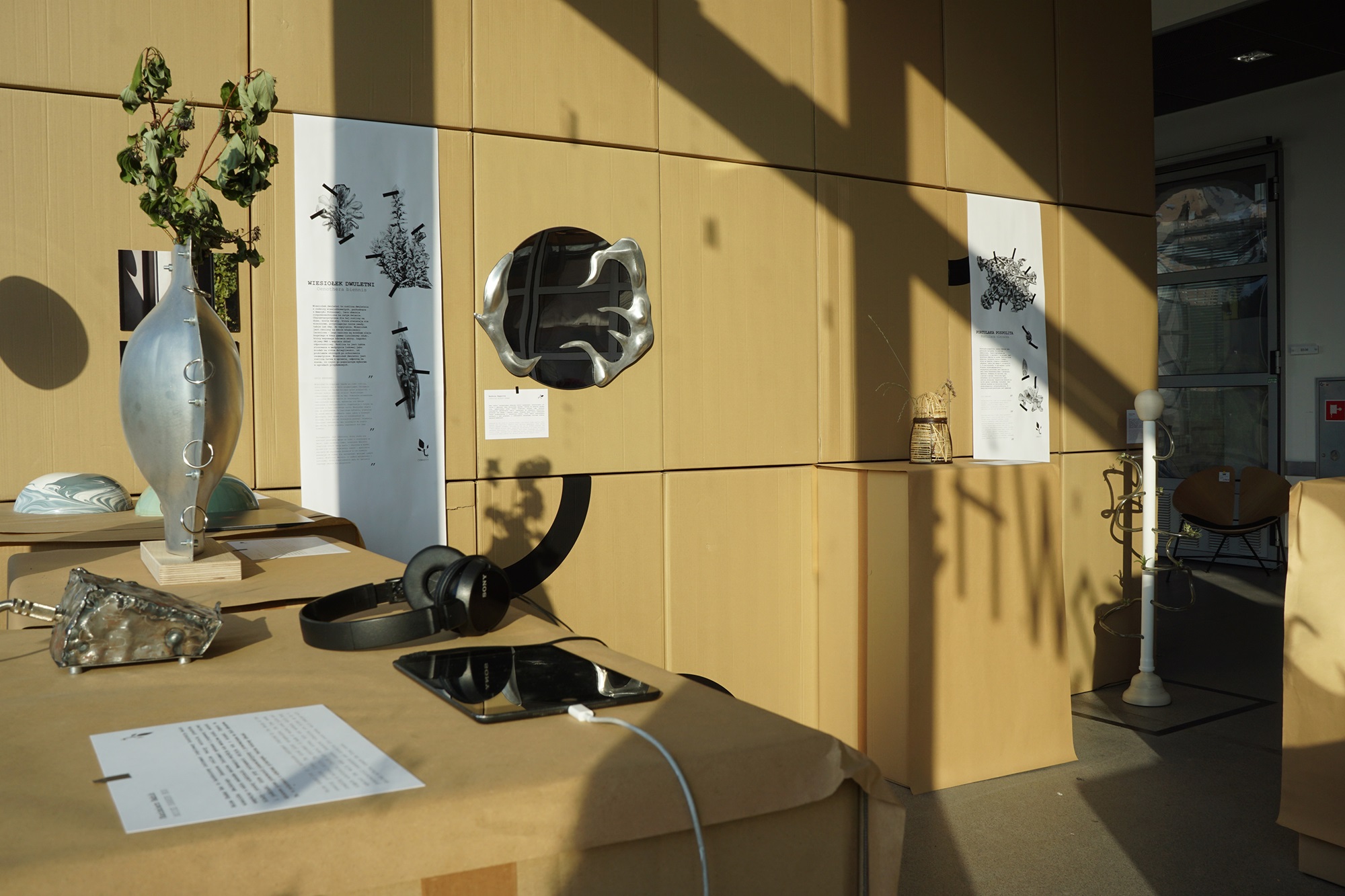 Interior of the exhibition “Synanthropic plants. What do weeds teach us?” | Photo School of Form