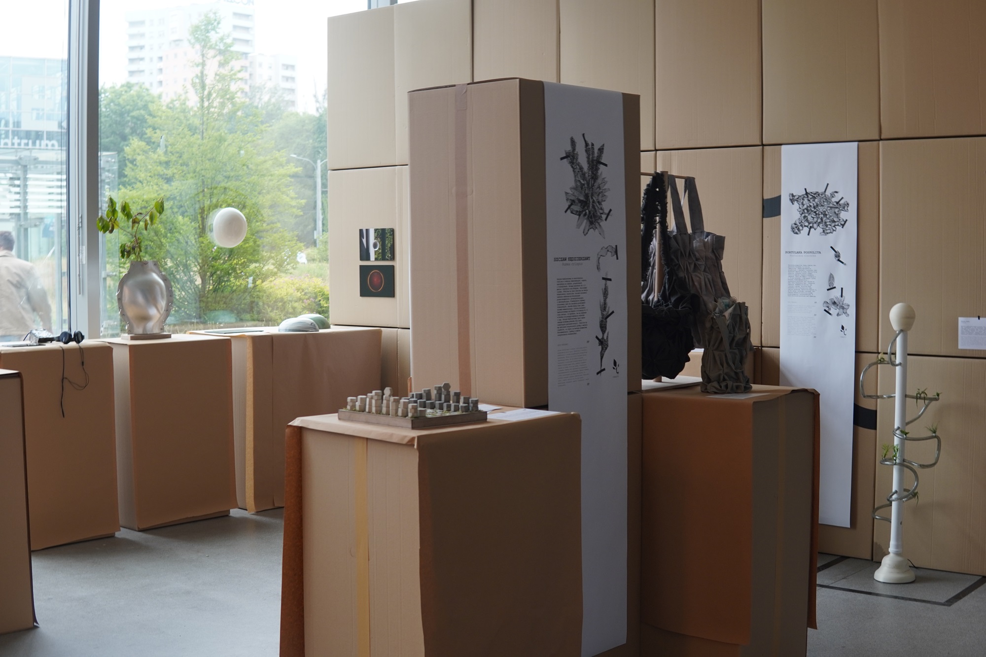 Interior of the exhibition “Synanthropic plants. What do weeds teach us?” | Photo School of Form