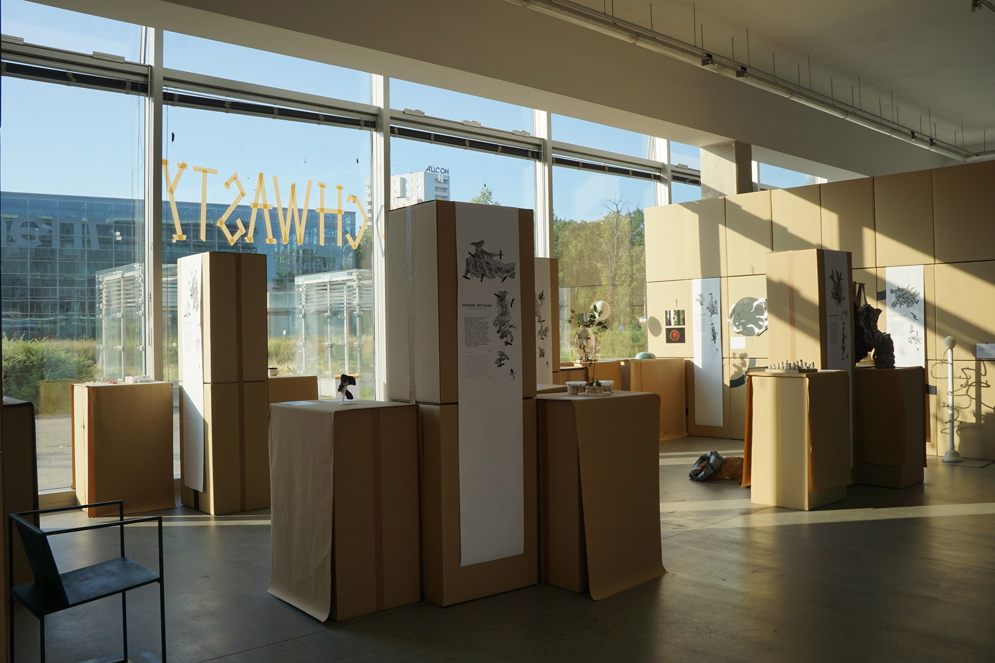 Interior of the exhibition “Synanthropic plants. What do weeds teach us?” | Photo School of Form