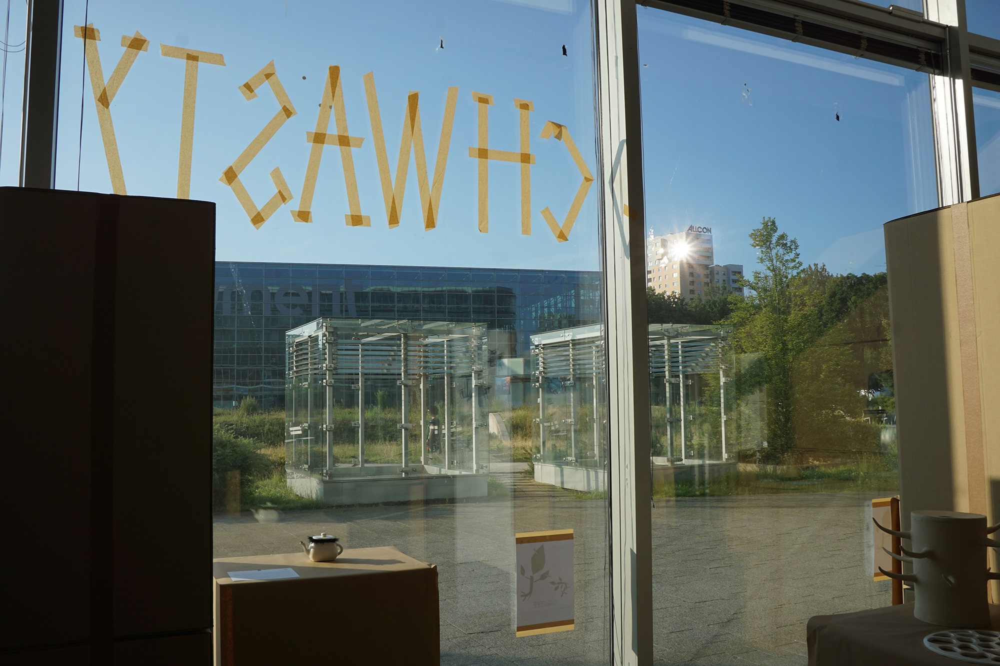 Interior of the exhibition “Synanthropic plants. What do weeds teach us?” | Photo School of Form