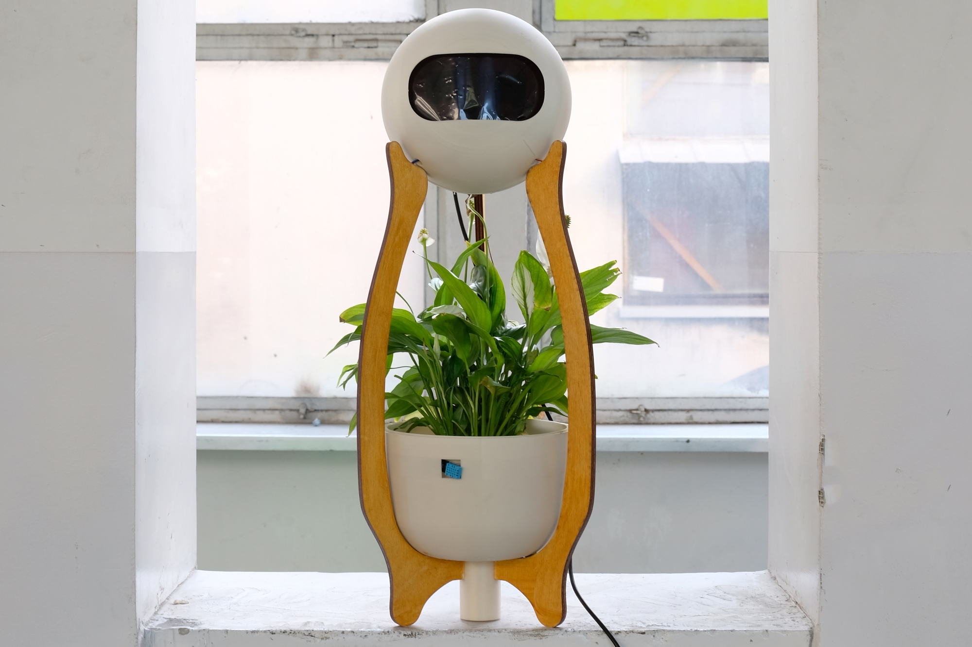 The seedling pot is made up of two parts: the pot itself and a display element placed above it. These two elements are connected by wooden bars. The seedling pot was designed by Xiao Liu.